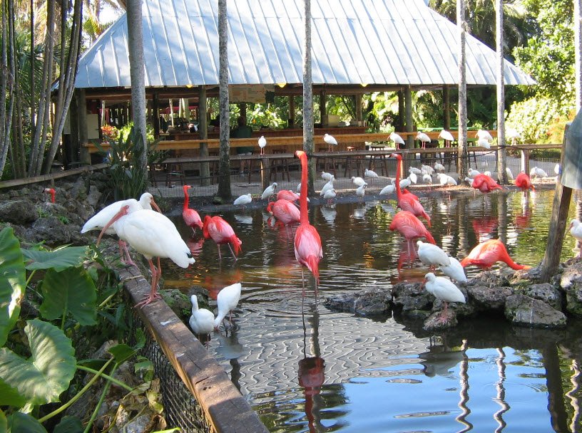 Flamingo Gardens, United States